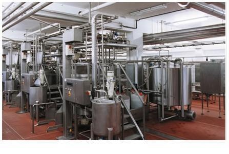 Food Processing Machine