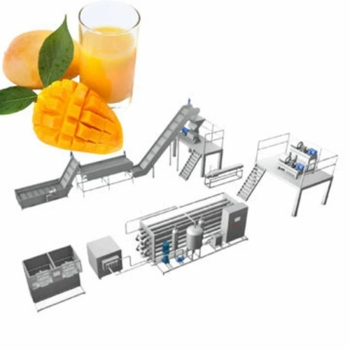 Fruit Pulp Processing Line