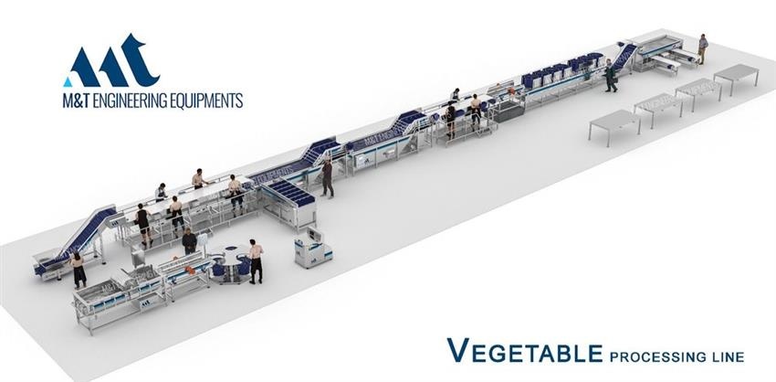 Fruit & Vegetable Grading and Sorting Line