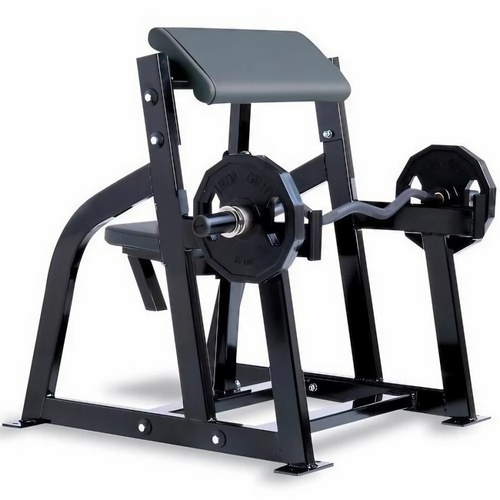 Gamma Fitness Seated Arm Curl Machine, Gym