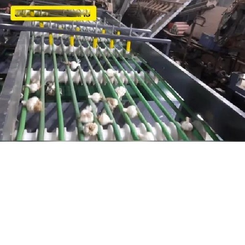 Garlic Sorting Machine