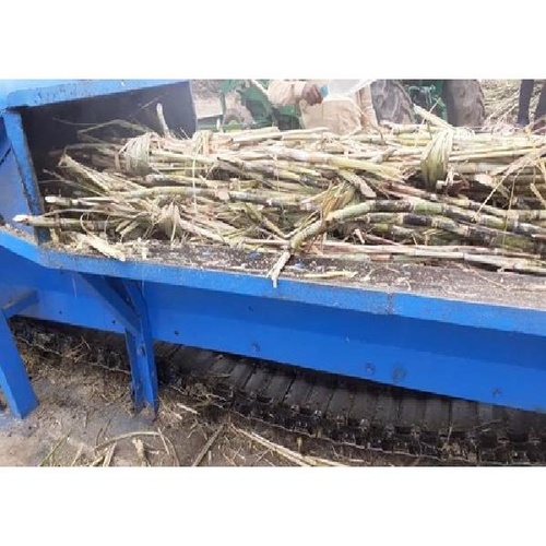 GCI Organic Jaggery Steam Machine