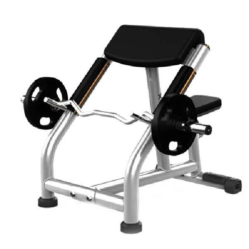 Gym Preacher Bench GB14