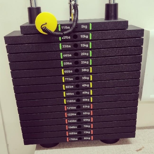 Gym Weight Stack Sua80kg