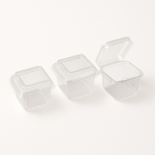 Hinged Plastic Packaging Container