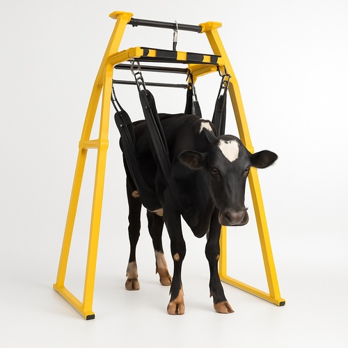 Livestock Lifting Hoist Equipment