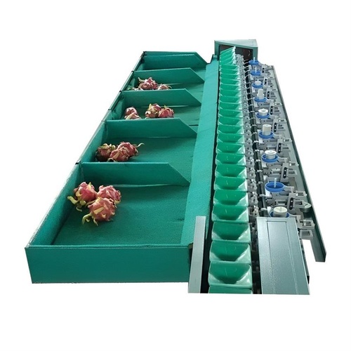 Mango Weight Grader Machine