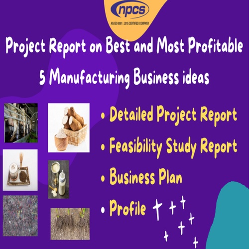 Manufacturing Business Ideas Project Report