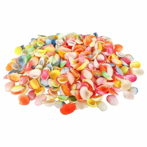 Natural Decor Shells Packet