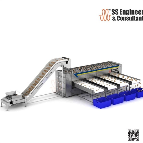 Onion and Potato Grading Line