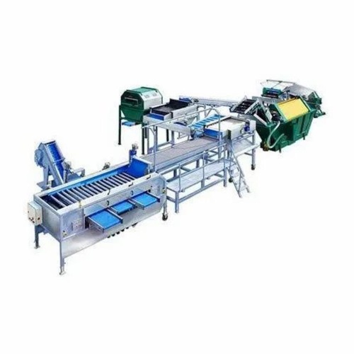 Onion Sorter Machine, 3 Ton/Hr