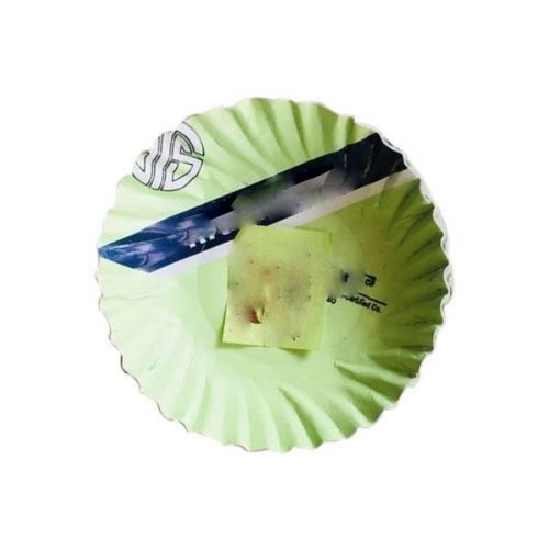 Printed Disposable Paper Plates