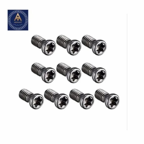 Round Stainless Steel Torx Screw