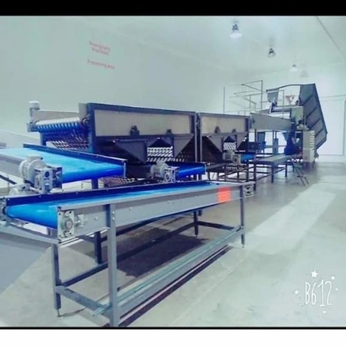 Semi-Automated Potato Sizer, 2 Ton/hr