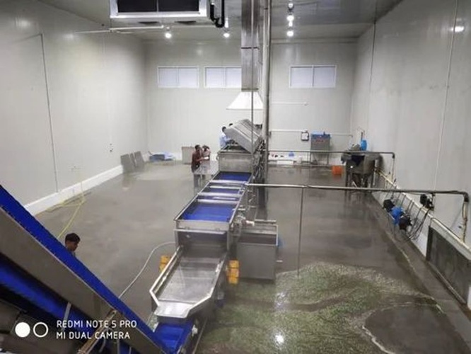 Semi-Automatic Fruit & Vegetable Processing Plant