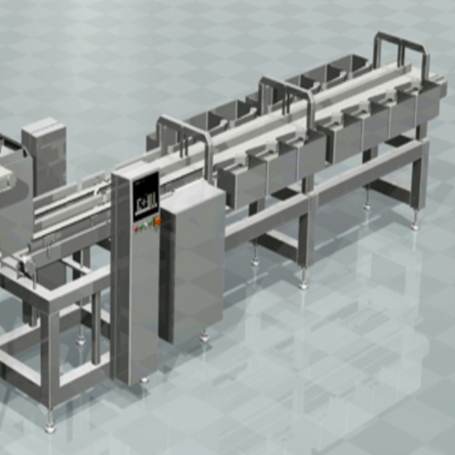 Shrimp Sorting Equipment