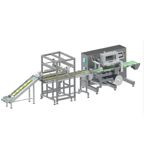 Strip Pouch Secondary Packaging Machine