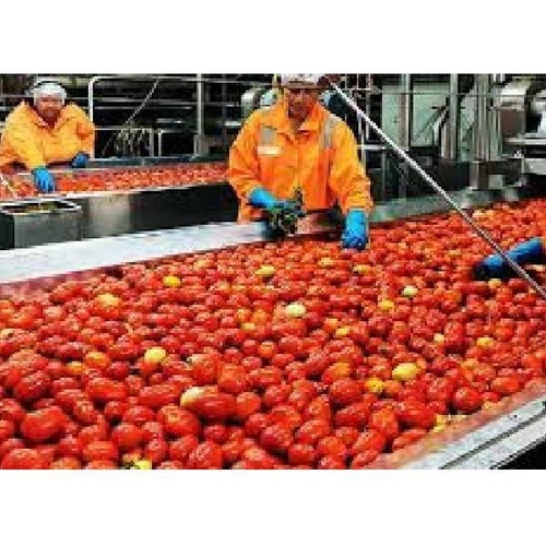 Tomato Processing Equipment