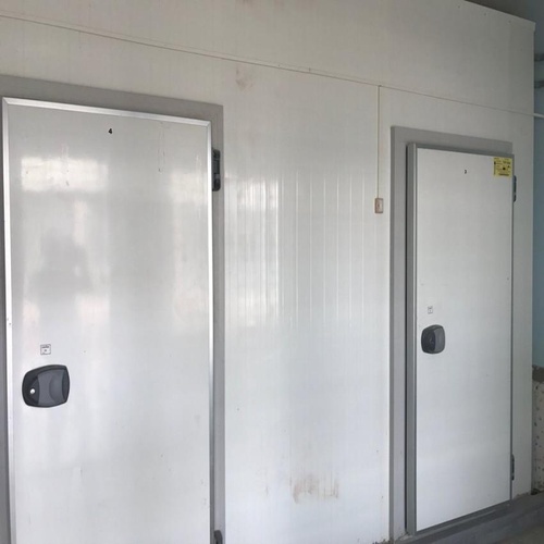 Vegetable Processing Turnkey Equipment