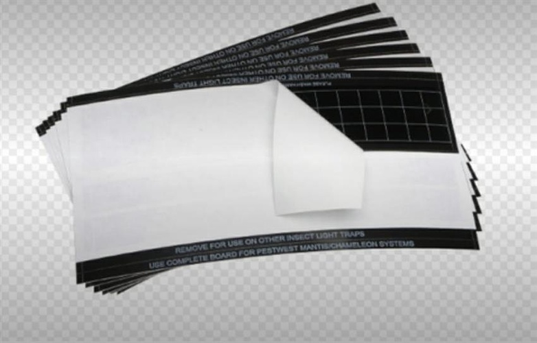 Yellow Cardboard Fruit Fly Trap