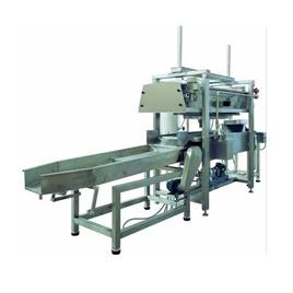 Snack Pellet Frying Equipment