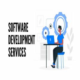 Single User Software Development
