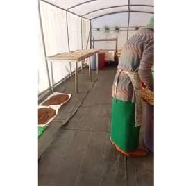 Solar Food Dehydrator Machine