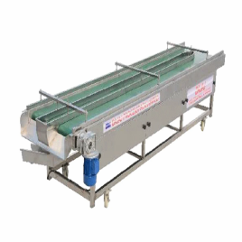 Bajaj Stainless Steel Sorting Conveyor