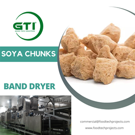 Soya Nugget Processing Equipment