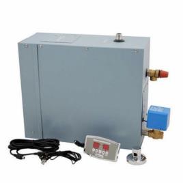Spa Electric Steam Generator
