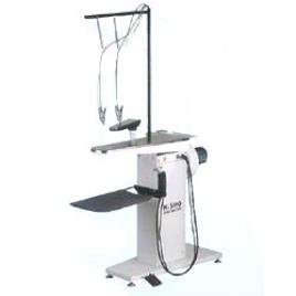 Electric Spot Cleaner Machine