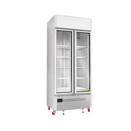 Upright Showcase Stainless Steel Refrigerator