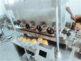 S.S 304 Linear Capping Device, 40 BPM