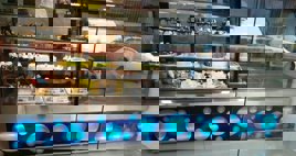 Curved SS Glass Cold Showcase