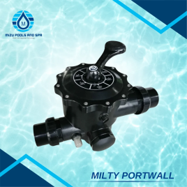 SS Black Jacuzzi Pump Valve