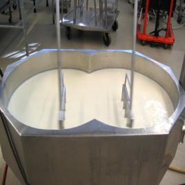 SS Cheese Vat Mixer Equipment