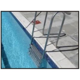 Stainless Steel Ladder