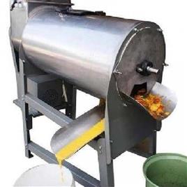 Fruit Pulper machine