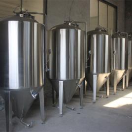 Vertical SS Polished Brewery Equipment - 500 L/hr