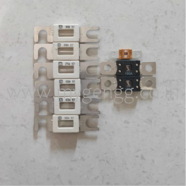 Stacker Pallet Truck Fuse