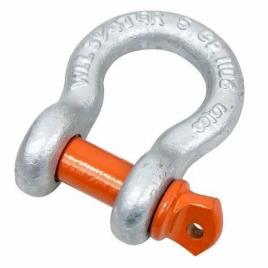 Stainless Steel D Shape Bow Shackles