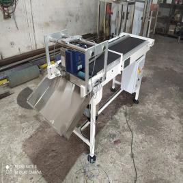 Stainless Steel Pouch Printer Conveyor, 50 Kg/Feet Capacity
