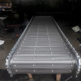 SS Chain Driven Belt Conveyor