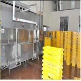 Industrial Stainless Steel Crate Washer