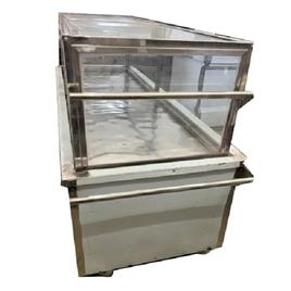 Stainless Body Freezer