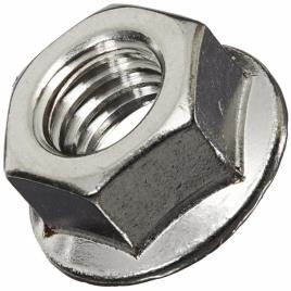 SS Hex Flange Nut, Industrial
