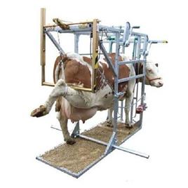 Steel Hoof Trimming Machine