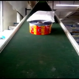 Stainless Steel Loading Conveyor