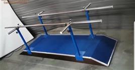 Stainless Steel Parallel Bar Fitness Equipment