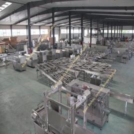 Chikki Processing Plant
